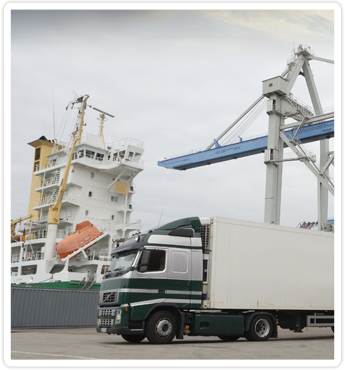 Shipping 